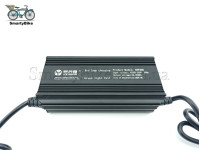 Зарядний пристрій Li-ion 48в 20а IEC   (13s 54,6в) 