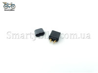 XT60H-M Amass 